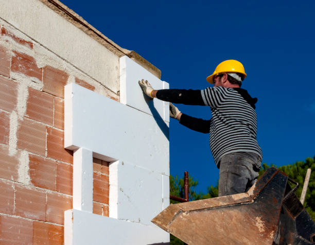Best Eco-Friendly Insulation in Herricks, NY